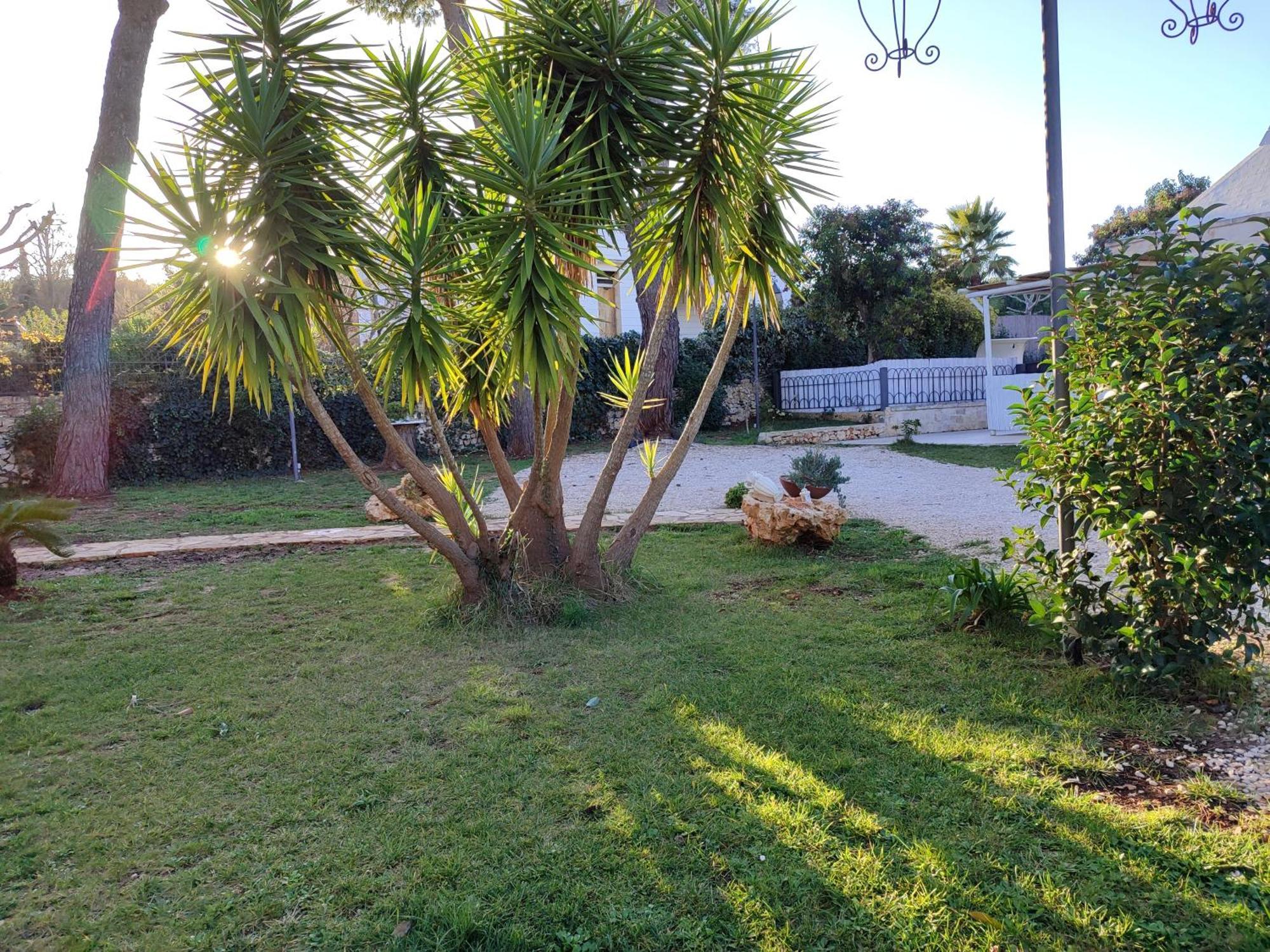 Villa Don Peppe Selva Di Fasano Szoba fotó
